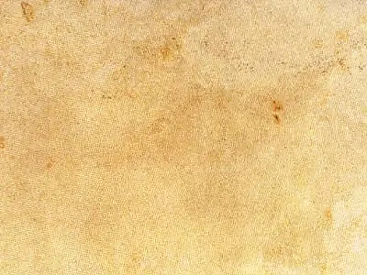 Burgpreppach sandstone polished sample – Marmi di Carrara – beige, ivory (1)