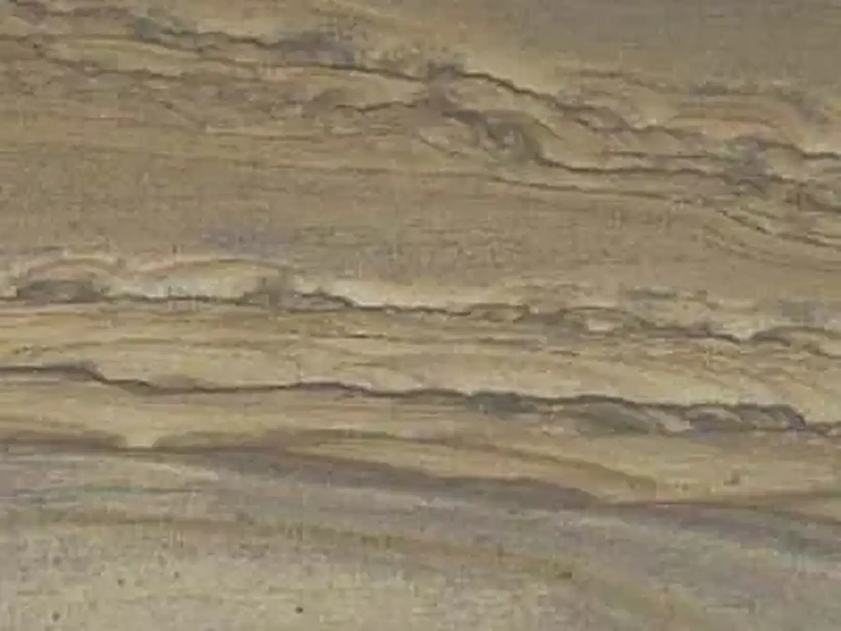 Burlwood cuarcita, muestra pulida – Marmi di Carrara – gris (1)