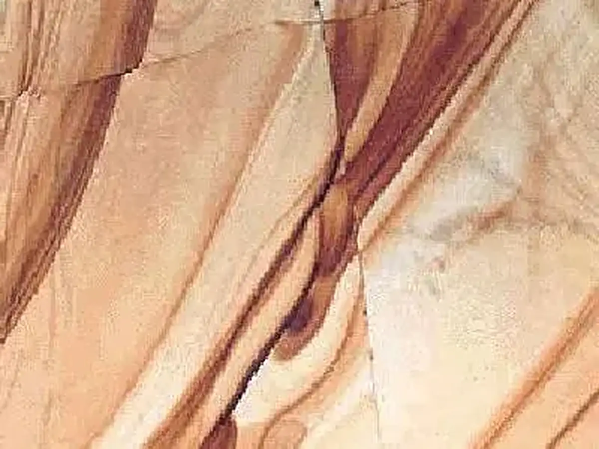 Burma Teak calcare, campione lucido – Marmi di Carrara – beige, avorio (1)