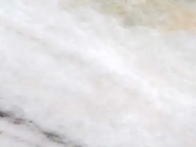 C 251 marble