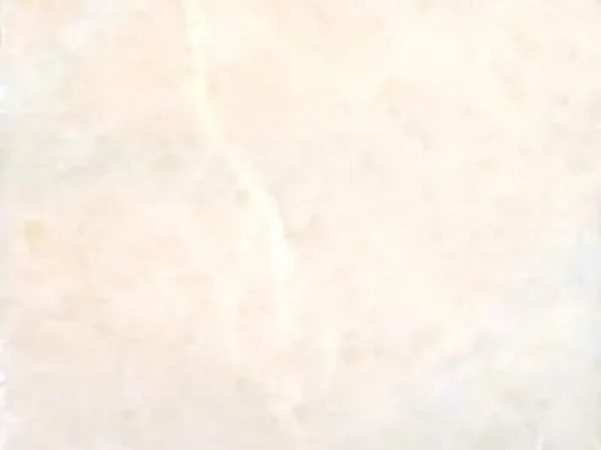 C 254 marble polished sample – Marmi di Carrara – white (1)