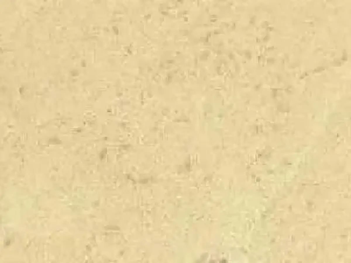 Cadeby calcare, campione lucido – Marmi di Carrara – beige, avorio (1)