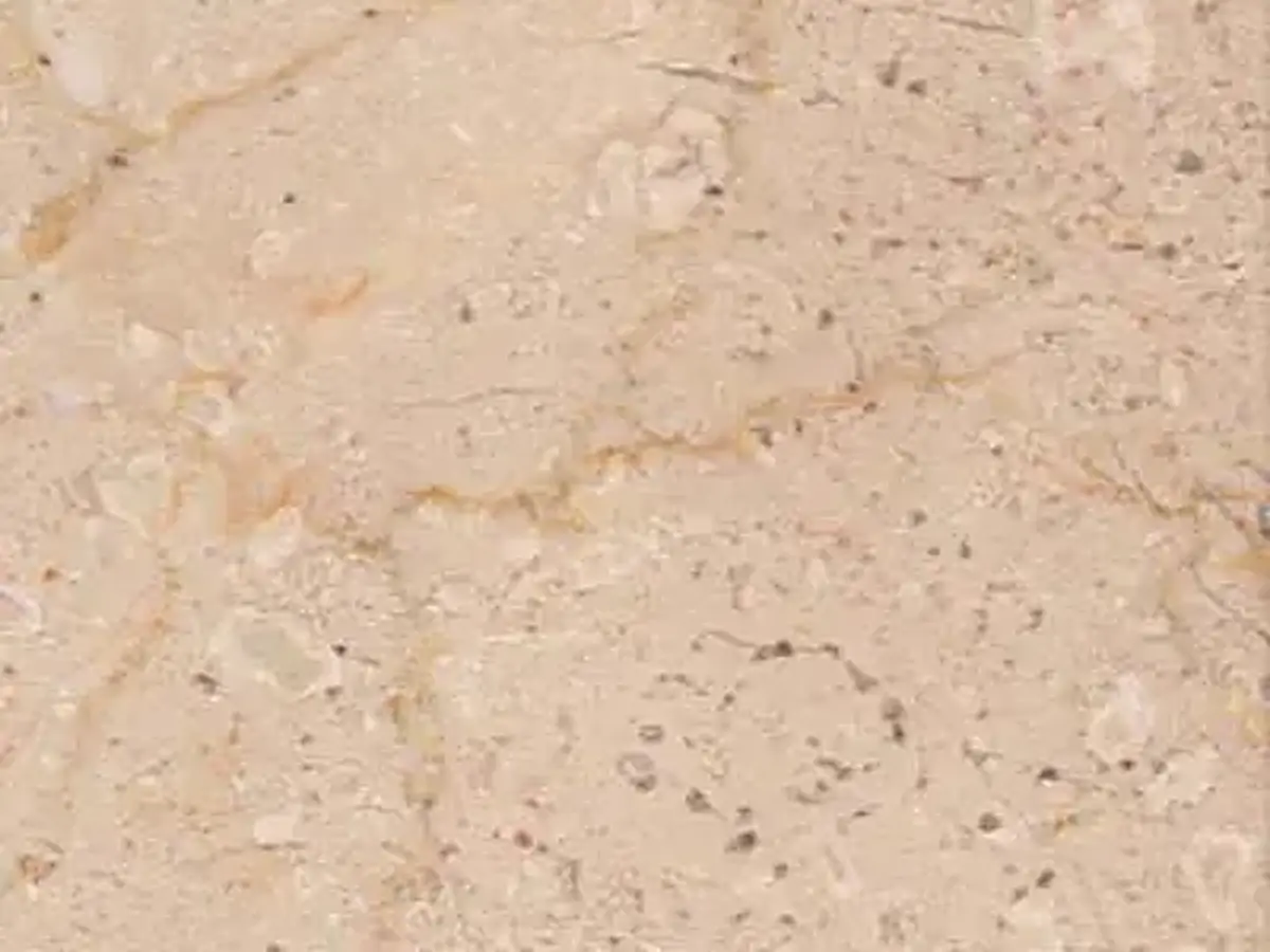 Cafe Cream calcare, campione lucido – Marmi di Carrara – beige, avorio (1)