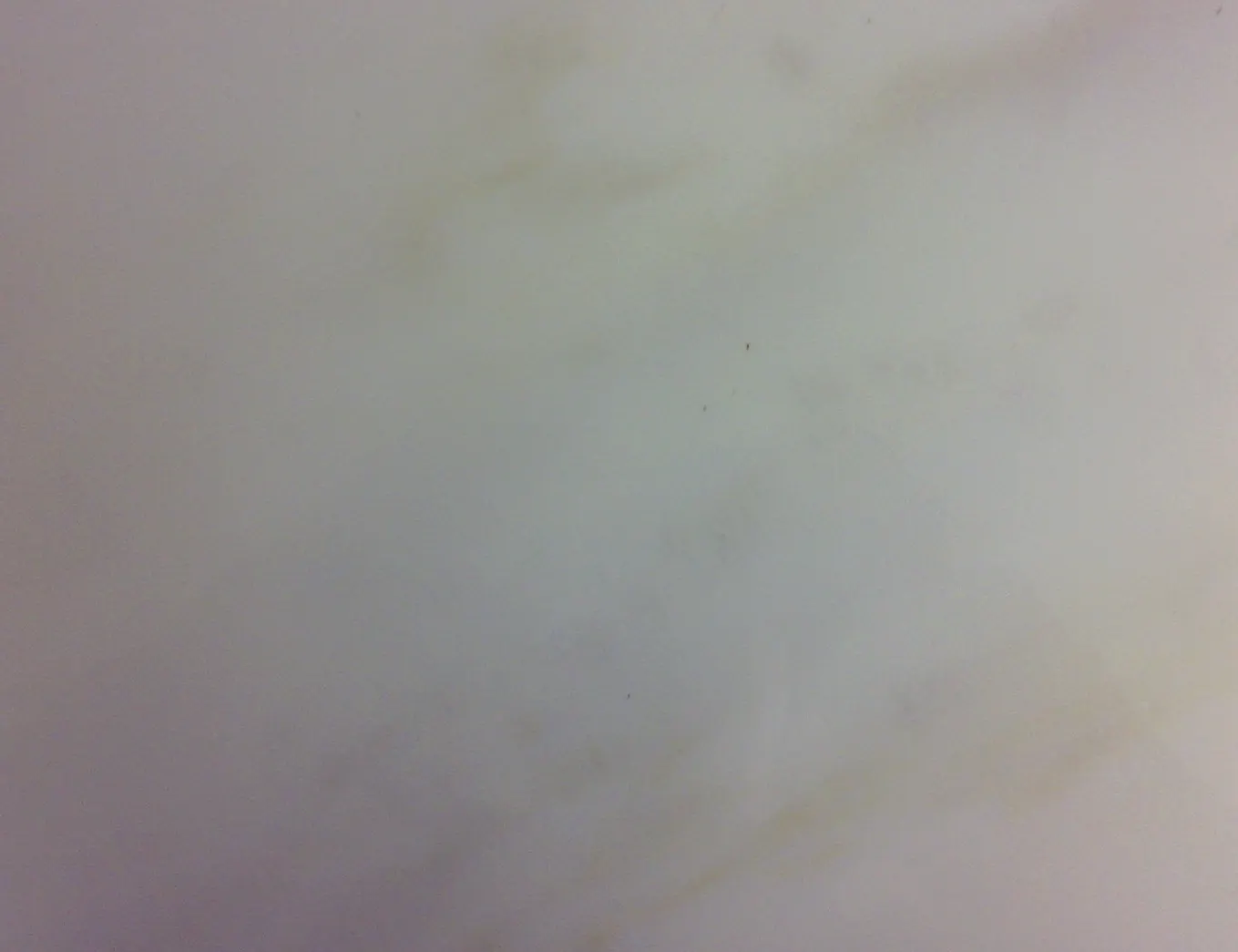 Calacatta mármol, molduras y rodapiés – Marmi di Carrara – gris, gris claro (36)