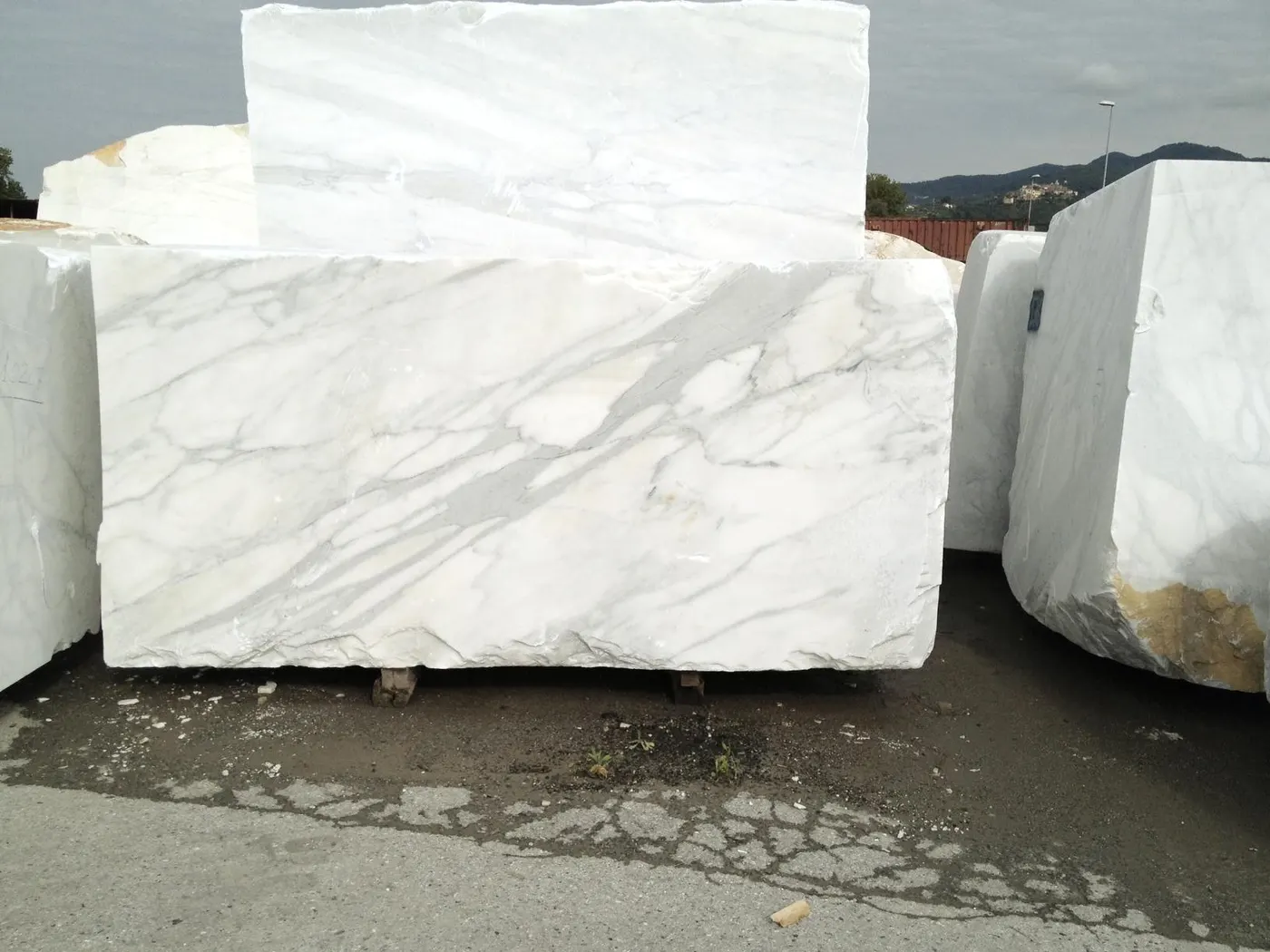 Calacatta Gold мрамор, поверхность плиты – Marmi di Carrara – белый, серый (26)