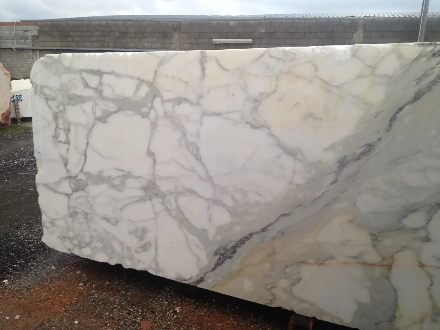 Calacatta Gold мрамор, поверхность плиты – Marmi di Carrara – светло-серый, серый (8)