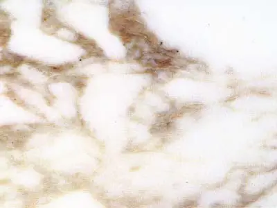 Calacatta Vagli mármol, muestra pulida – Marmi di Carrara – blanco, marfil (9)
