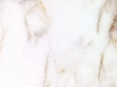Calacatto Oro marble