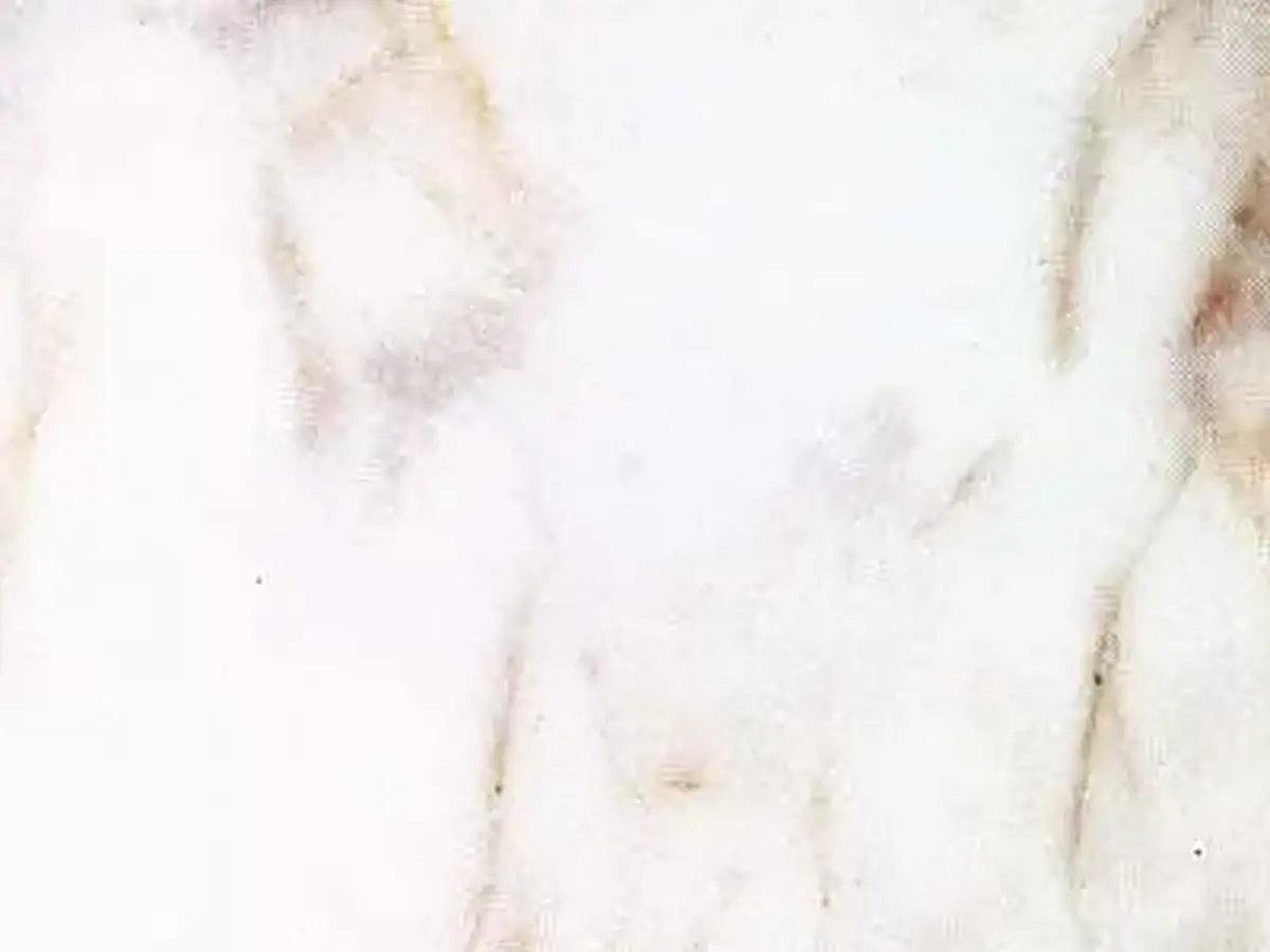 Calacatto Oro marble polished sample – Marmi di Carrara – white, ivory (1)