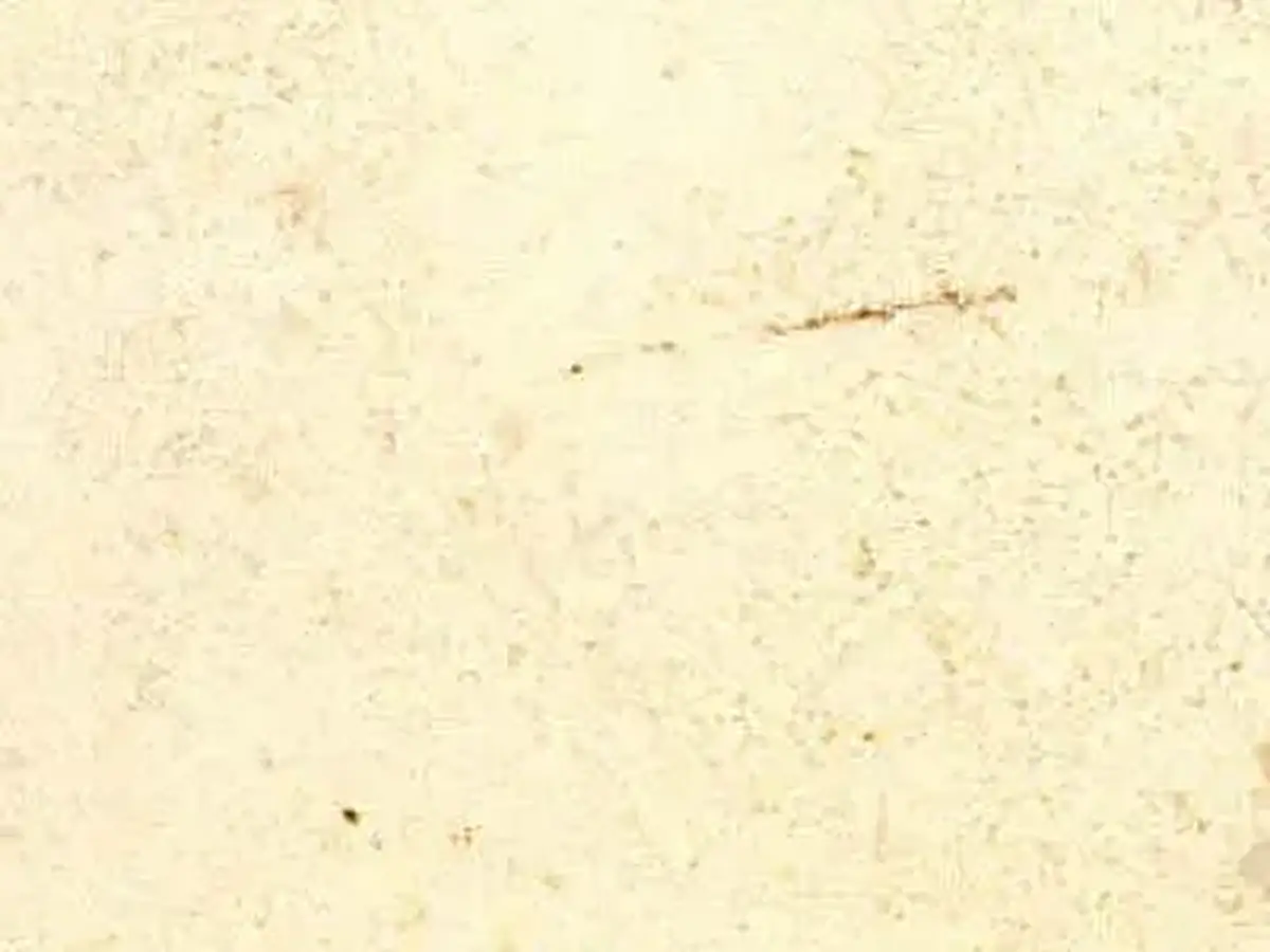 Caliza Zarci calcare, campione lucido – Marmi di Carrara – bianco, avorio (1)