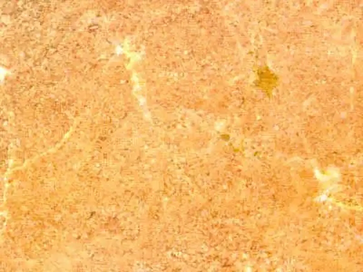 Caliza Zarci Rosa Kalkstein, polierte Probe – Marmi di Carrara – beige, gold (1)