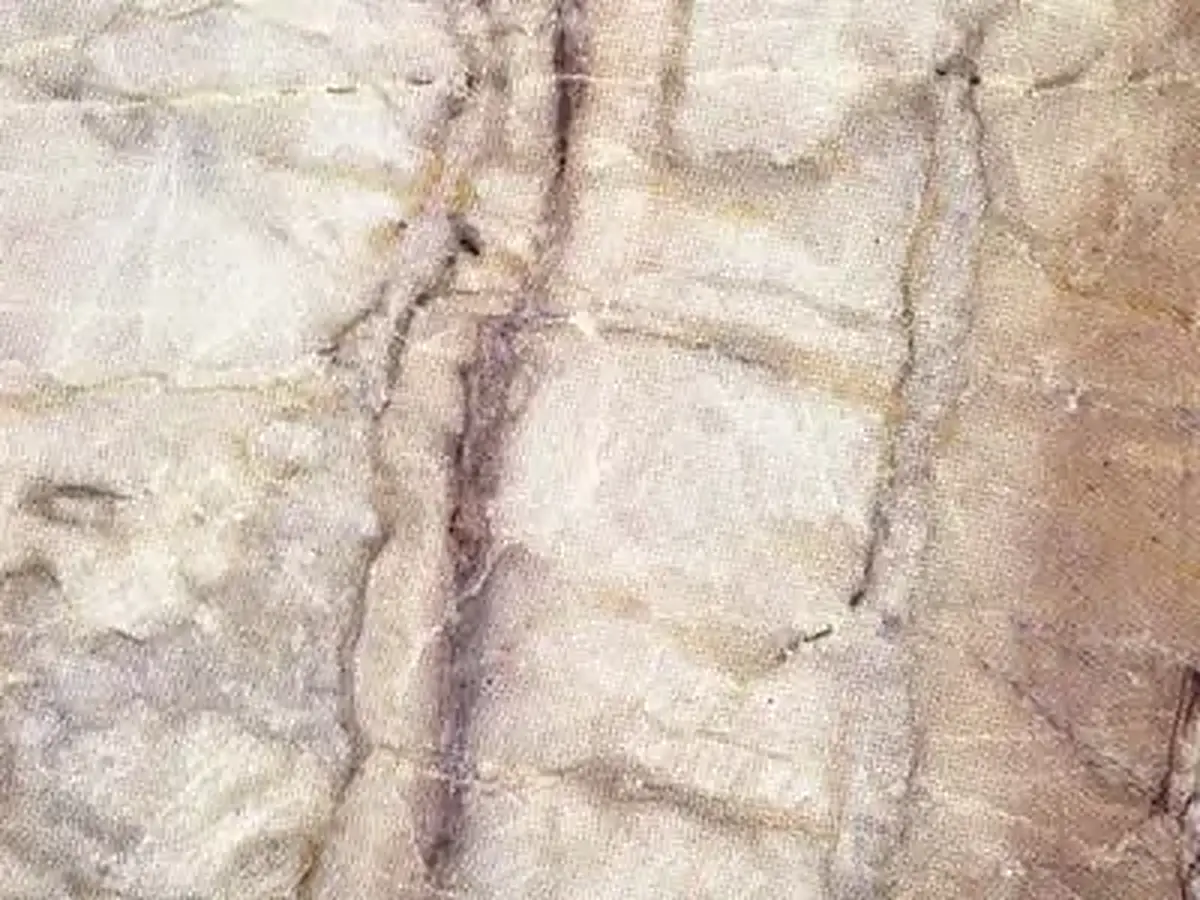 Camboriú mármol, muestra pulida – Marmi di Carrara – marfil, beige (1)