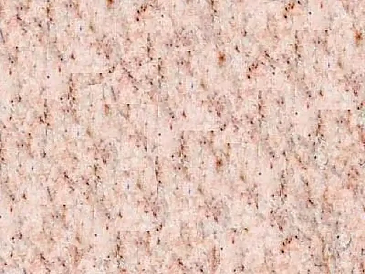 Camelia Pink granite polished sample – Marmi di Carrara – ivory, pink (1)
