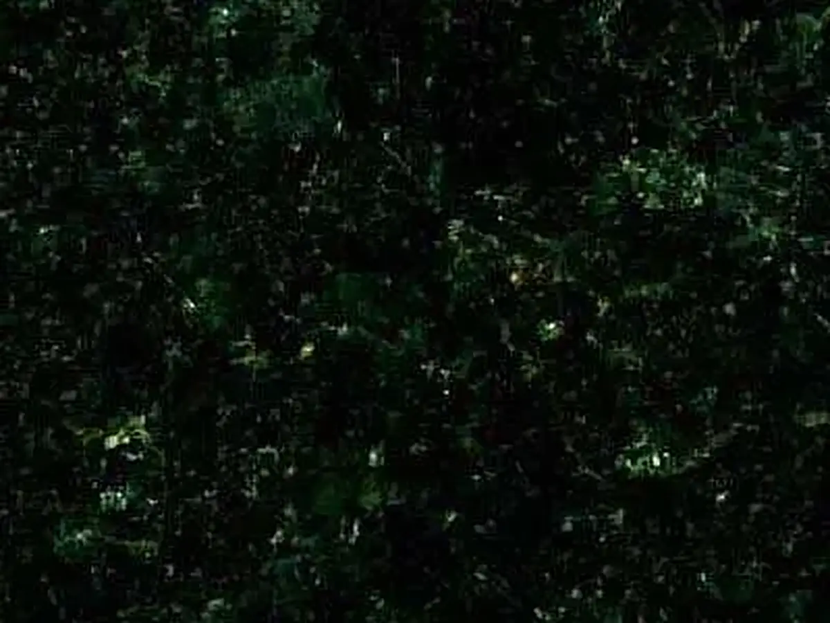 Canadian Spring Green гранит, полированный образец – Marmi di Carrara – чёрный (1)