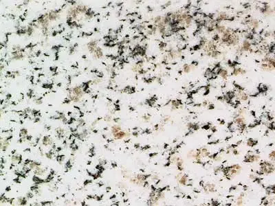 Cesar White granite