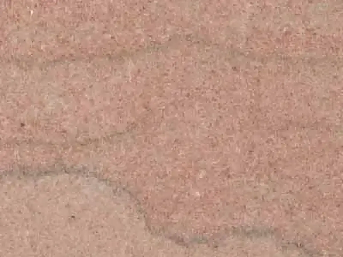 Champion Pink calcaire, échantillon poli – Marmi di Carrara – rose, doré (1)