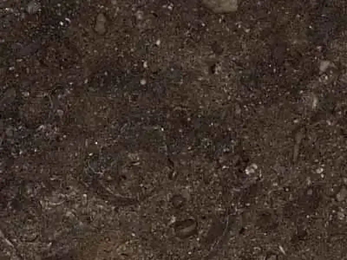 Champlain Black Marble limestone polished sample – Marmi di Carrara – charcoal, black (1)