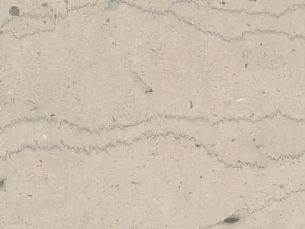 Chanteuil Blanc limestone polished sample – Marmi di Carrara – light grey, beige (1)
