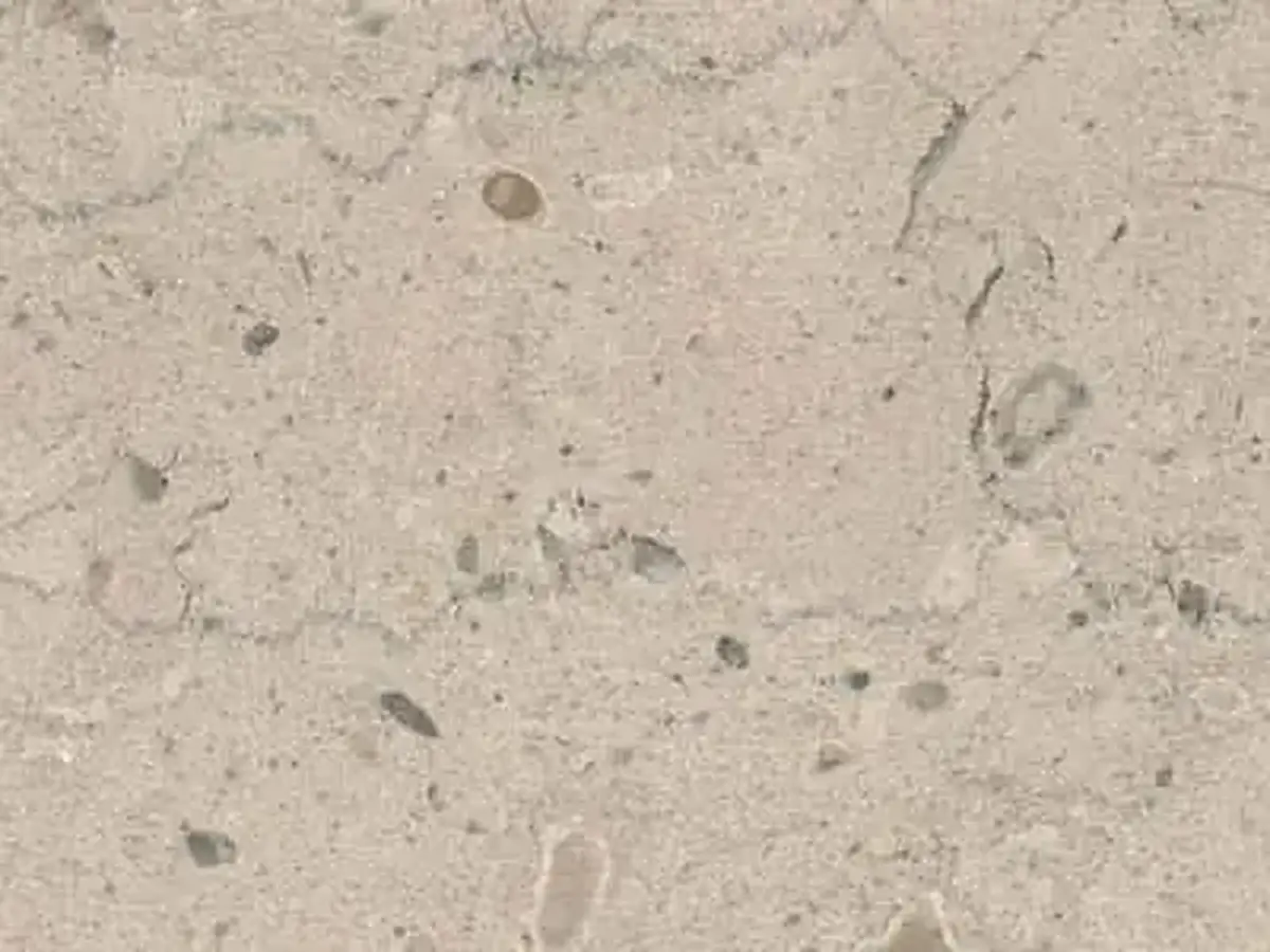 Chanteuil Bleu limestone polished sample – Marmi di Carrara – light grey, beige (1)