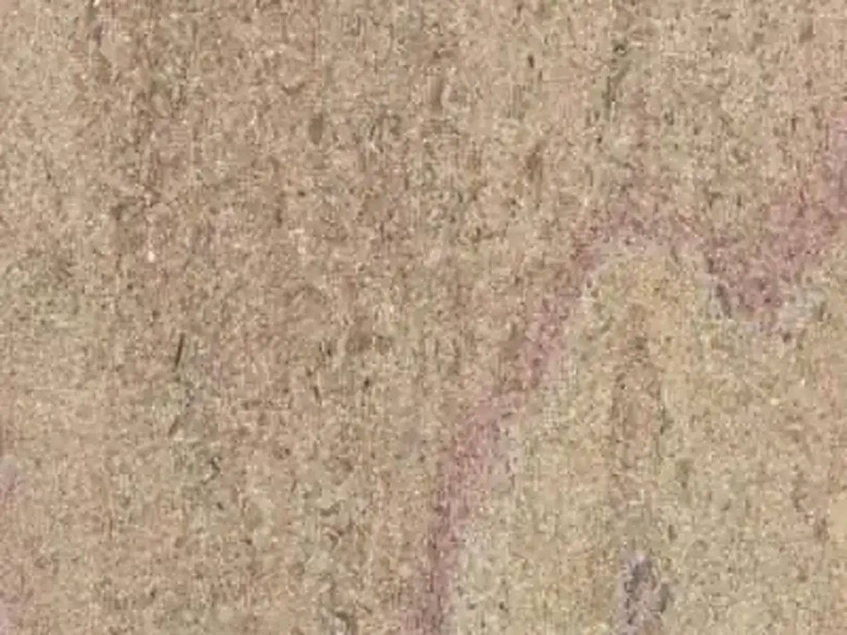 Chassagne Beige calcaire, échantillon poli – Marmi di Carrara – beige, gris (1)
