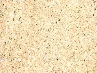Chateau Landon travertine