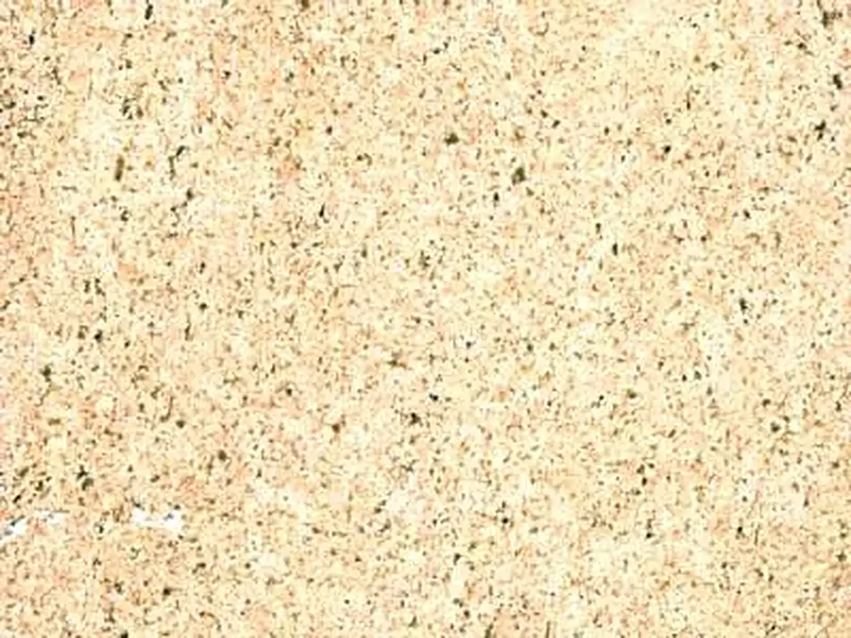Chateau Landon Travertin, polierte Probe – Marmi di Carrara – elfenbein, beige (1)