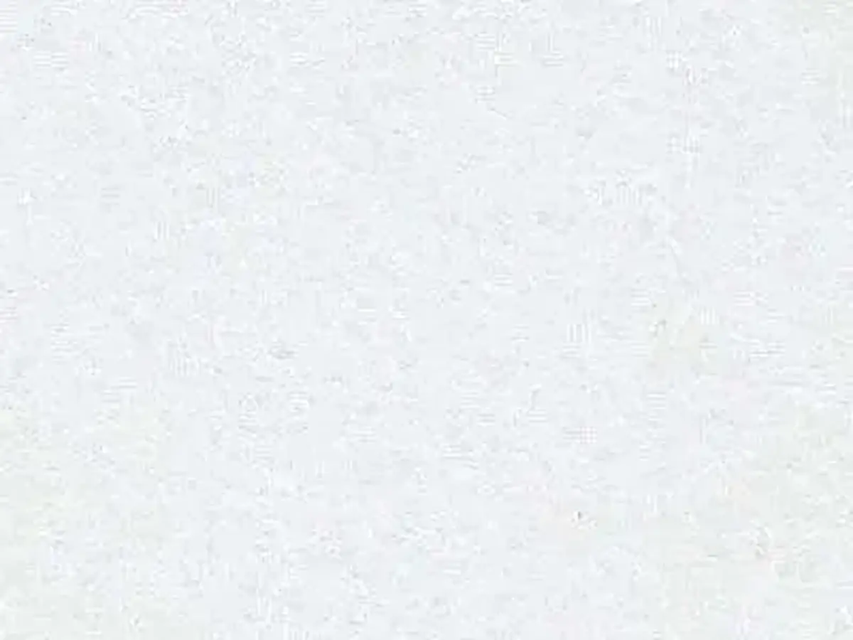 Chinese White Pearl marmo, campione lucido – Marmi di Carrara – bianco (1)