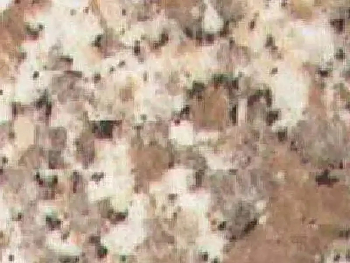 Cibaca granito, campione lucido – Marmi di Carrara – grigio, avorio (1)