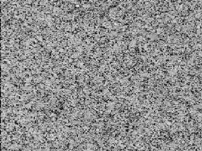 Cinza Castelo granite polished sample – Marmi di Carrara – grey, light grey (1)