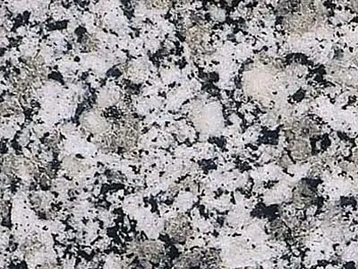 Cinza Prata granito, campione lucido – Marmi di Carrara – grigio chiaro, grigio (1)