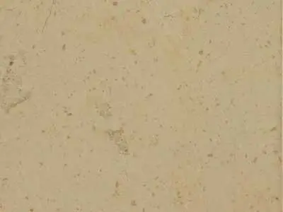 Comblanchien limestone polished sample – Marmi di Carrara – beige (1)