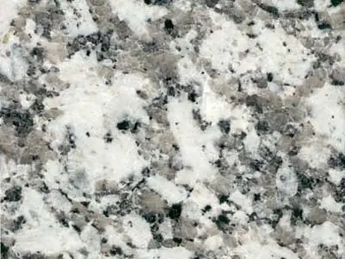 Conquistador Gris granite polished sample – Marmi di Carrara – grey, green (1)