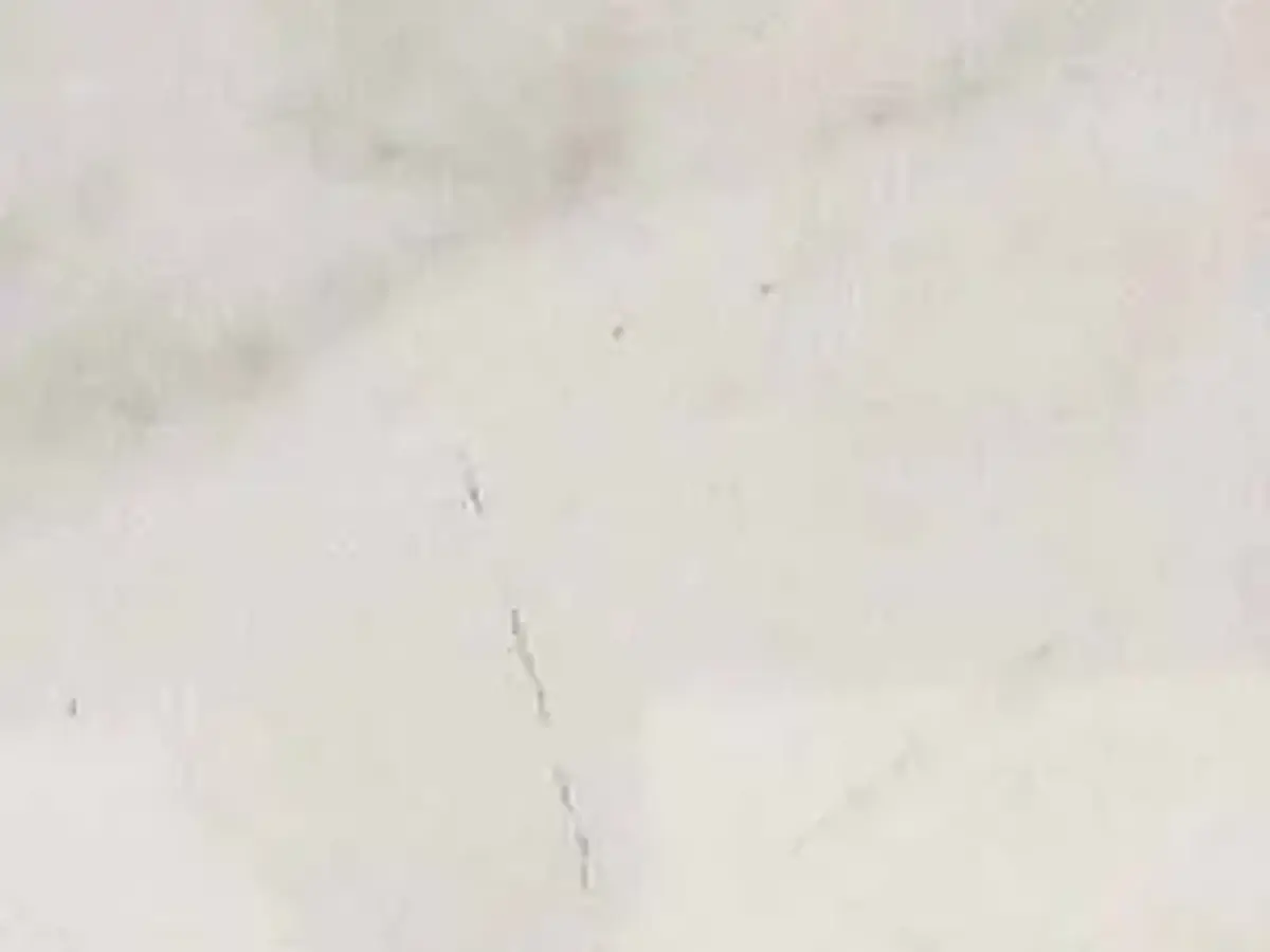 Creamy White marble polished sample – Marmi di Carrara – ivory, light grey (1)