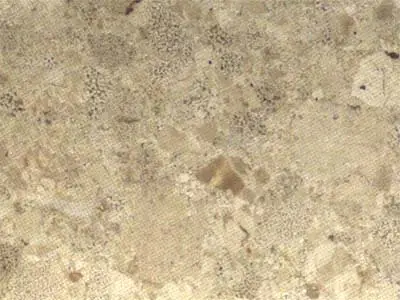 Crema Altea limestone