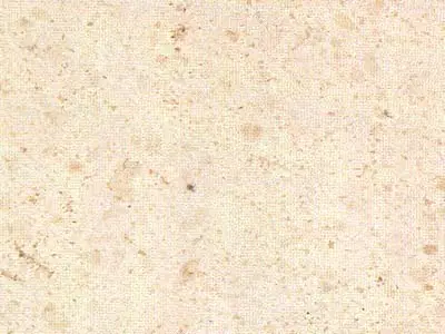 Crema Beida limestone