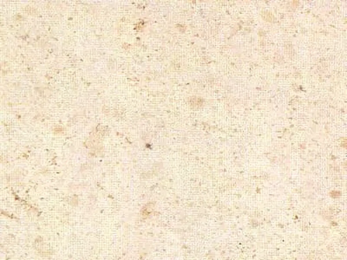 Crema Beida limestone polished sample – Marmi di Carrara – ivory, white (1)