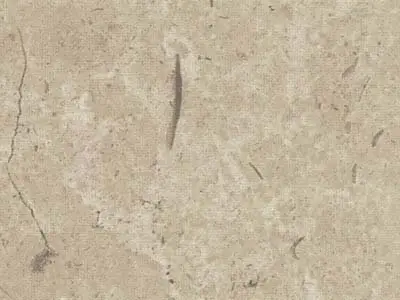 Crema Cenia limestone
