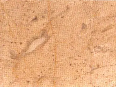 Crema Loja limestone