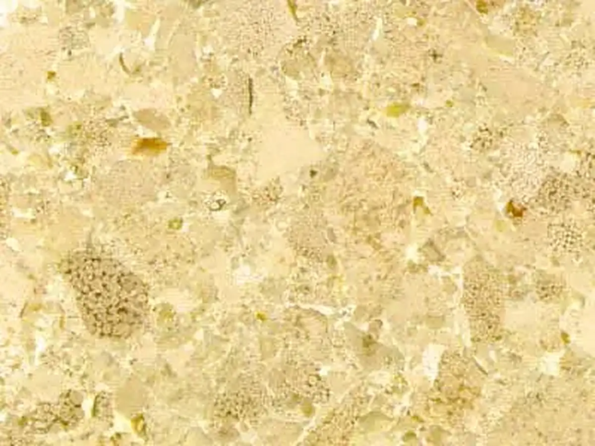 Crema Marbella caliza, muestra pulida – Marmi di Carrara – beige, marfil (1)