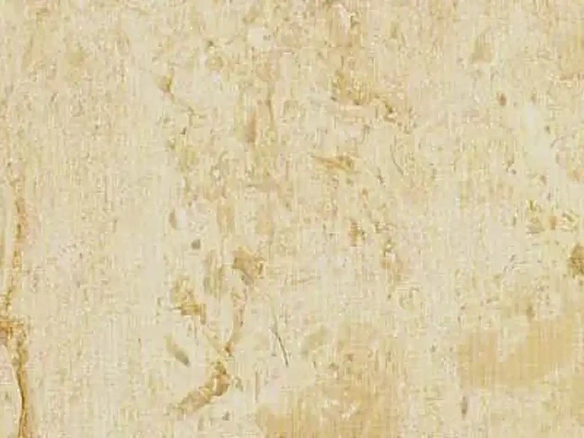 Crema Nova известняк, полированный образец – Marmi di Carrara – бежевый, слоновая кость (1)