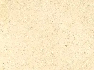Crema Nova (Spain) limestone