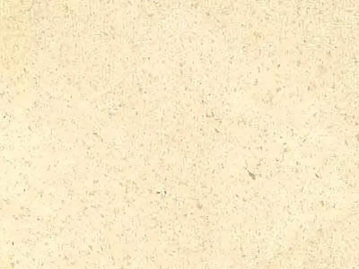 Crema Nova (Spain) Kalkstein, polierte Probe – Marmi di Carrara – elfenbein (1)