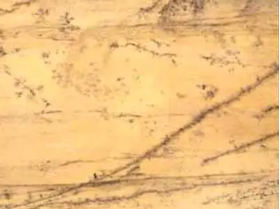 Crema Triana marble