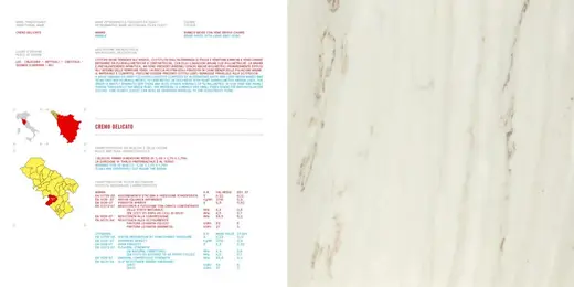Cremo Delicato mármol, superficie de losa – Marmi di Carrara – blanco, marfil (18)