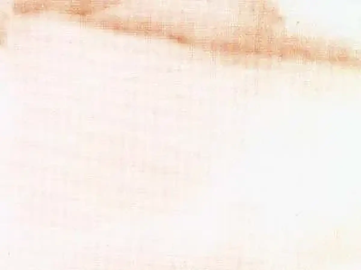 Cremo Delicato mármol, muestra pulida – Marmi di Carrara – blanco, marfil (24)