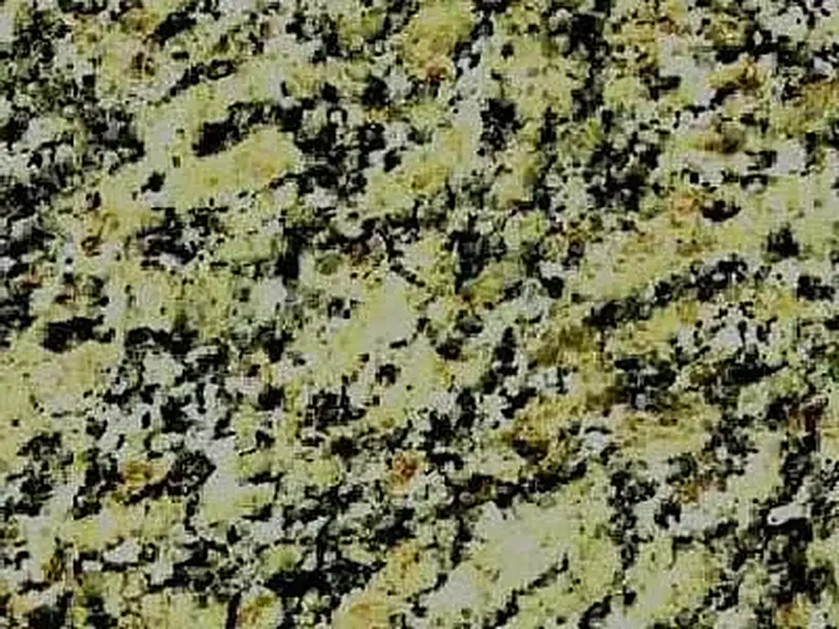 Crystal Gold Granit, polierte Probe – Marmi di Carrara – grau, grün (1)