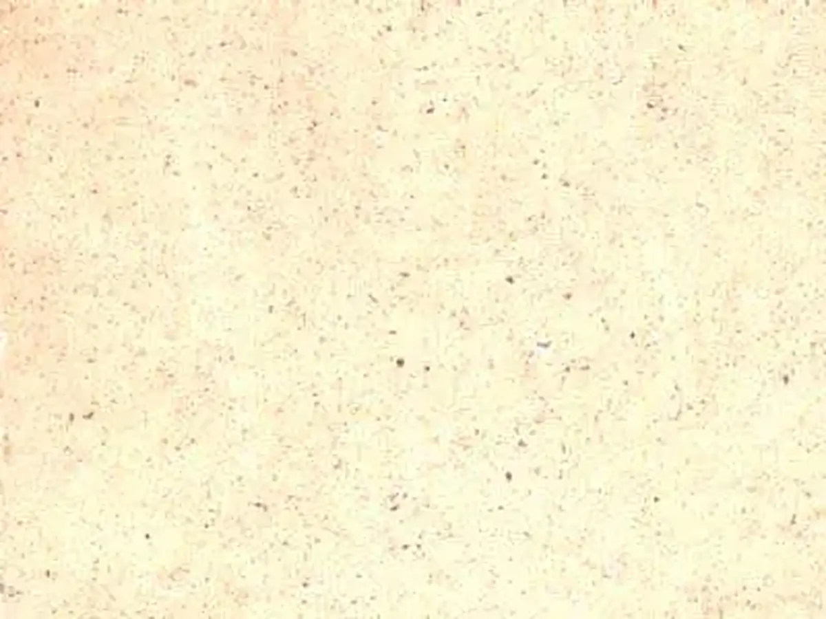 Curiaca Blanco travertine polished sample – Marmi di Carrara – white, ivory (1)