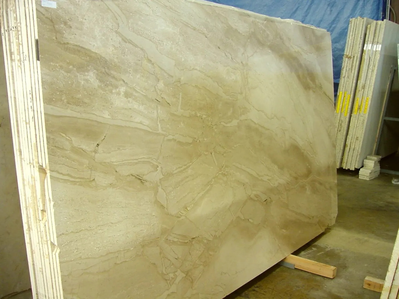 Daino Reale marmo, superficie di lastra – Marmi di Carrara – beige, oro (2)