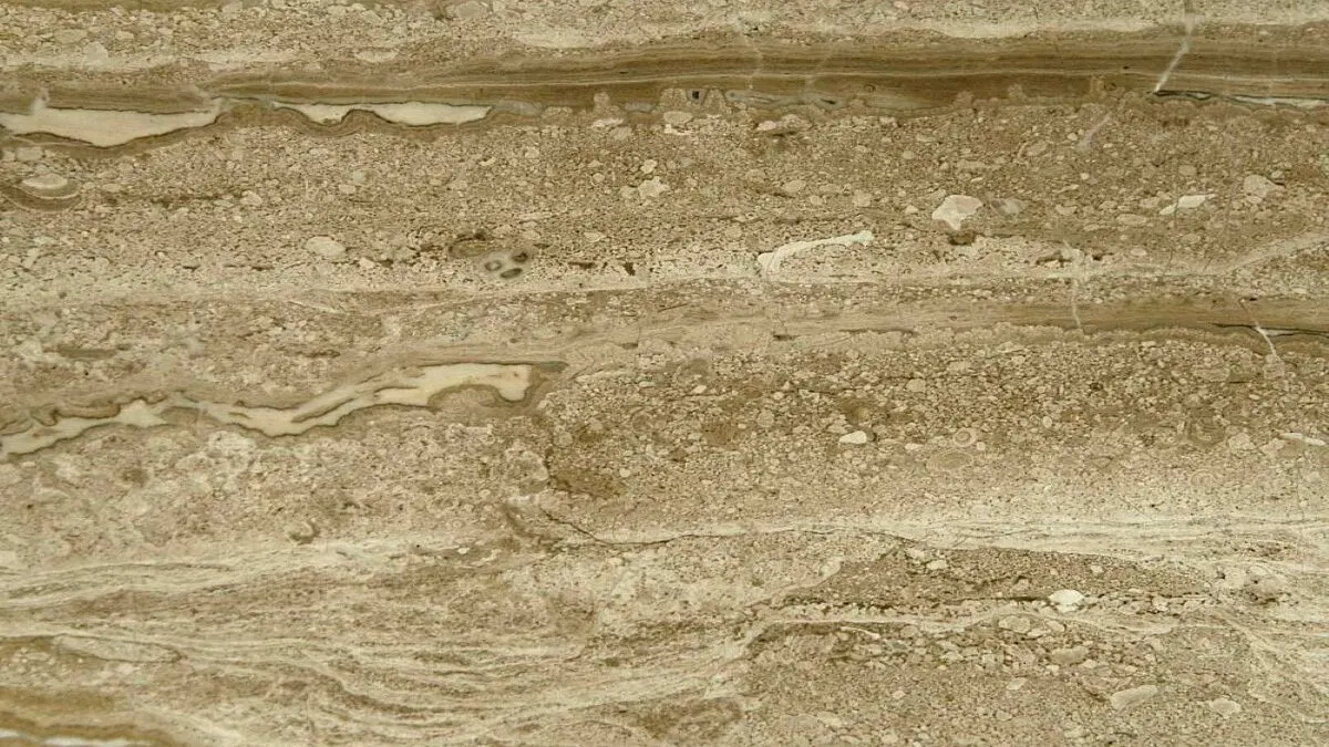 Daino Reale marbre, surface de dalle – Marmi di Carrara – doré, beige (7)
