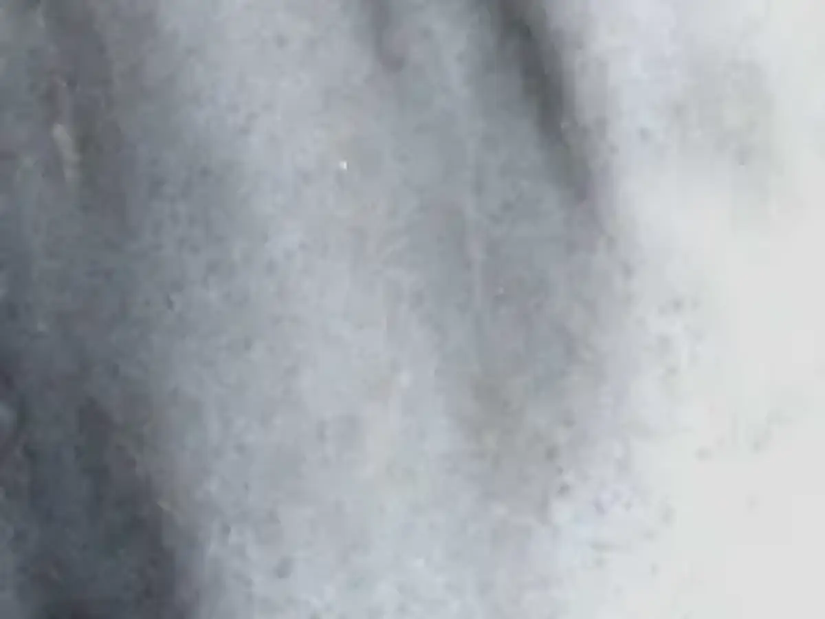 Danby Royal mármol, muestra pulida – Marmi di Carrara – marfil, gris (1)